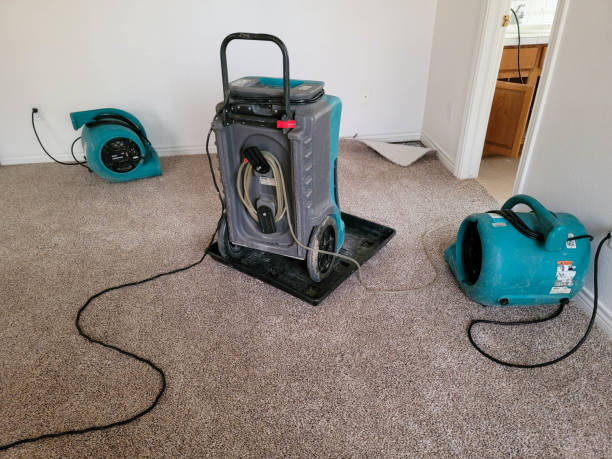 Best 24-hour water damage restoration  in Trophy Clu, TX