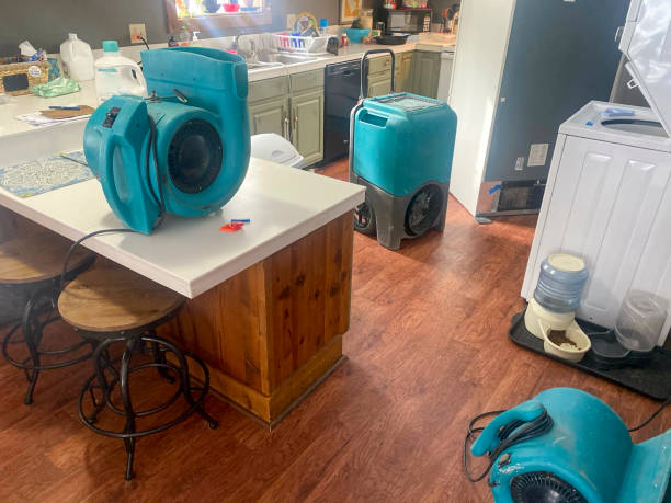 Best Water damage repair service  in Trophy Clu, TX