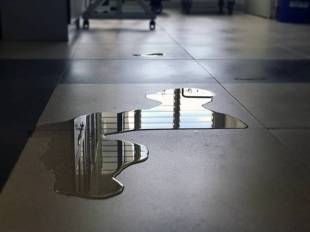 Best 24/7 water damage repair  in Trophy Clu, TX