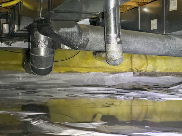 Best Sewage cleanup and water damage restoration  in Trophy Clu, TX